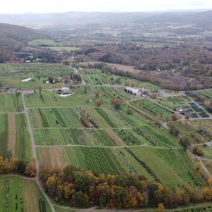 Shagbark Farm